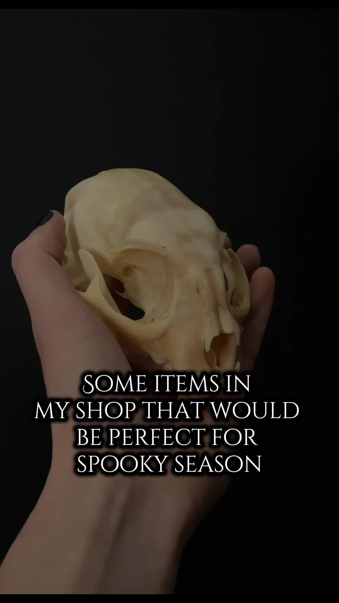 @Cassidy💀