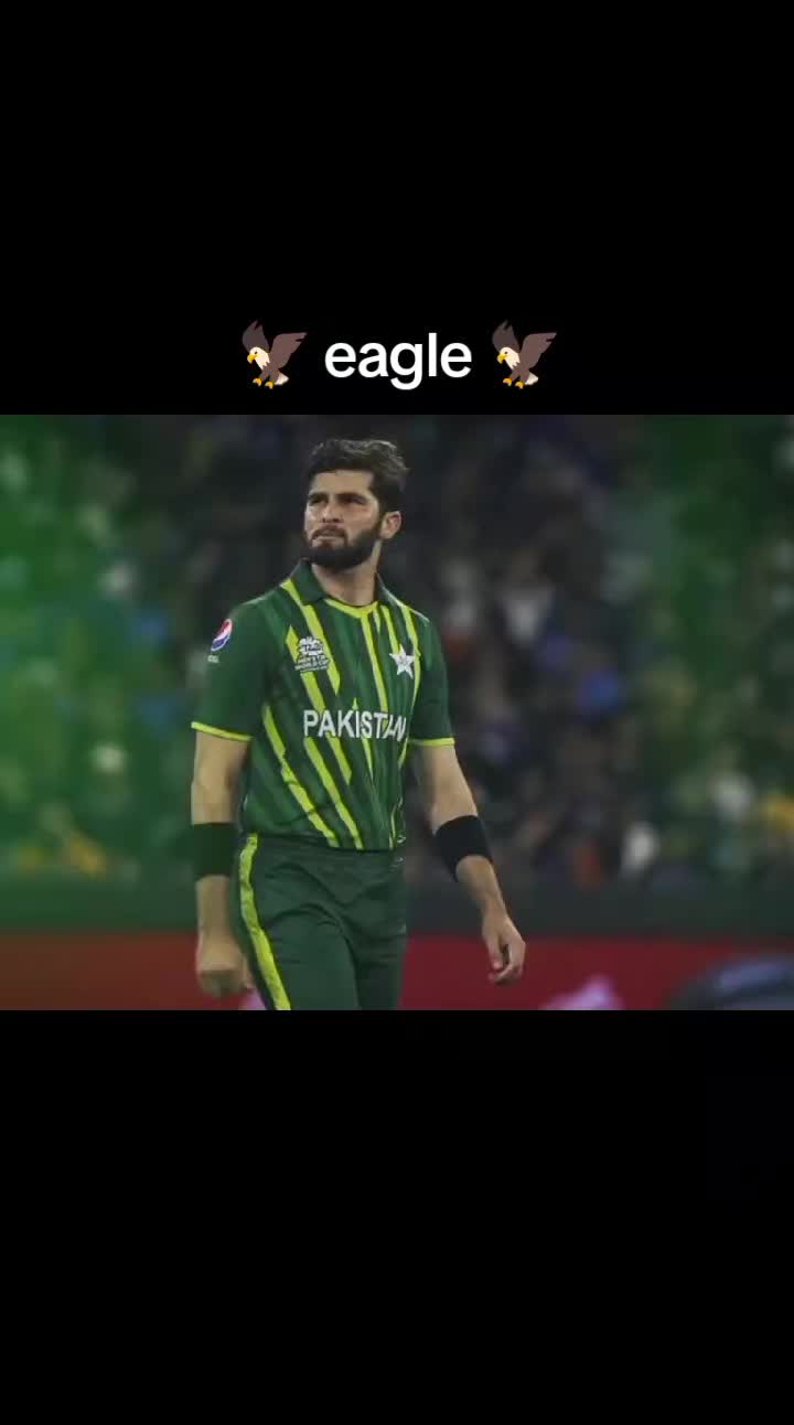 @⚡ Bewafa typist81 ⚡