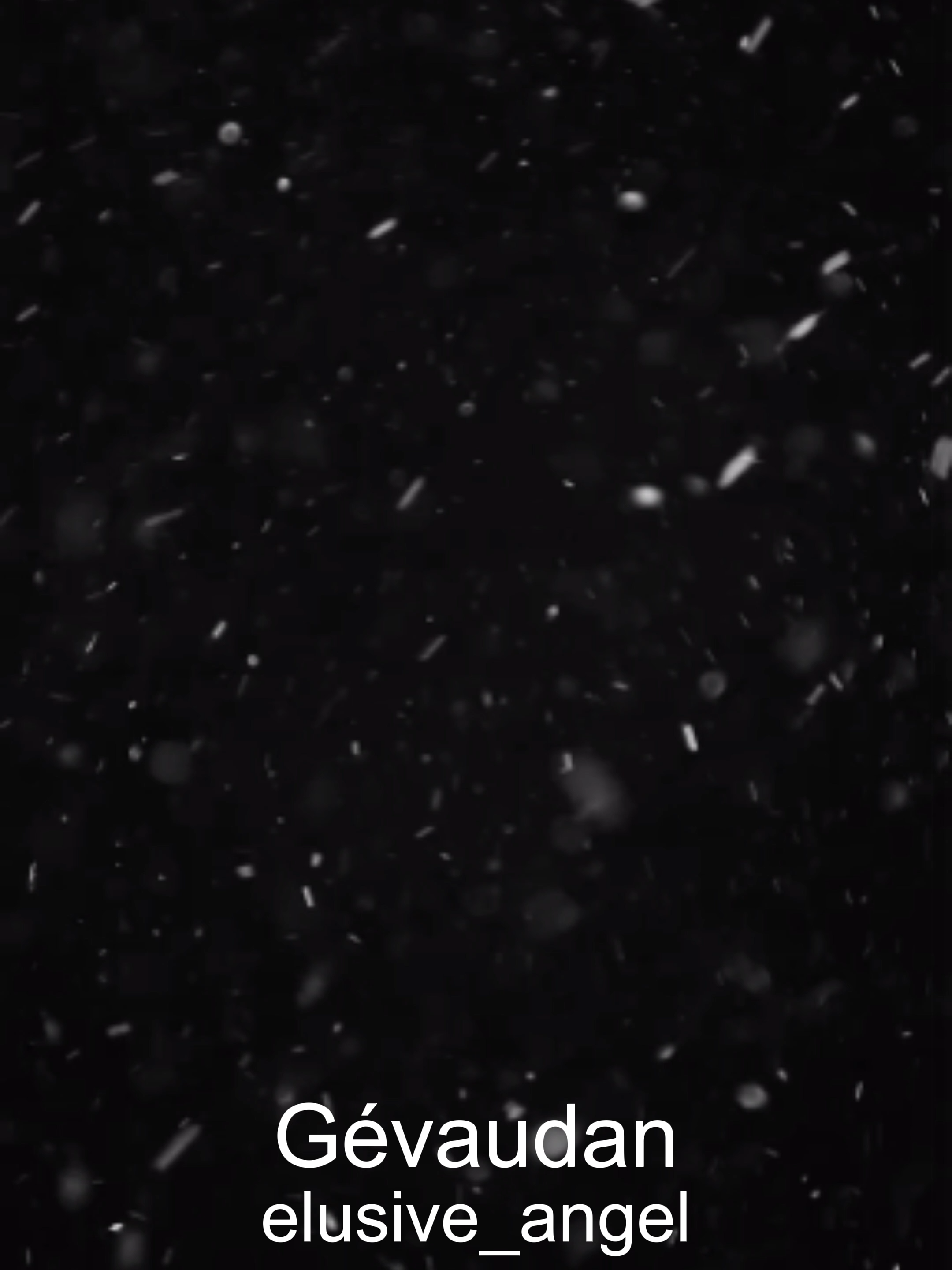 @Rose 누나 AI Video Creator