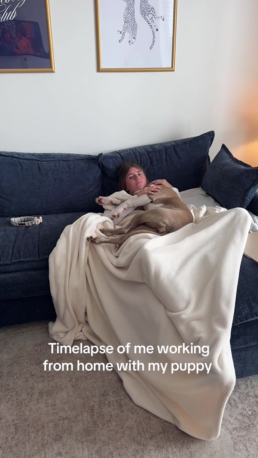 @Millie The Pitty