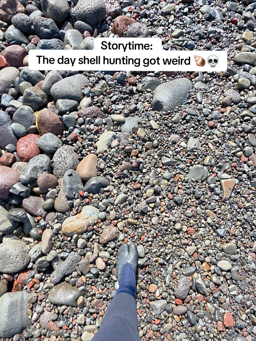 @Noe 🐚 Shells