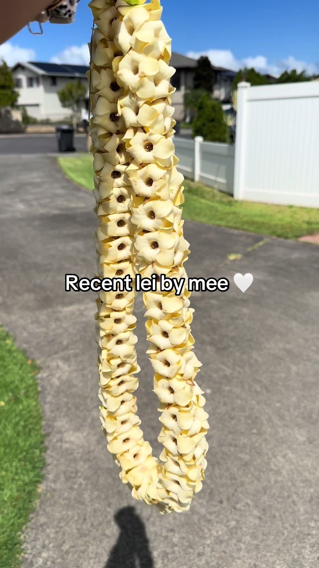 @leizbykielerr