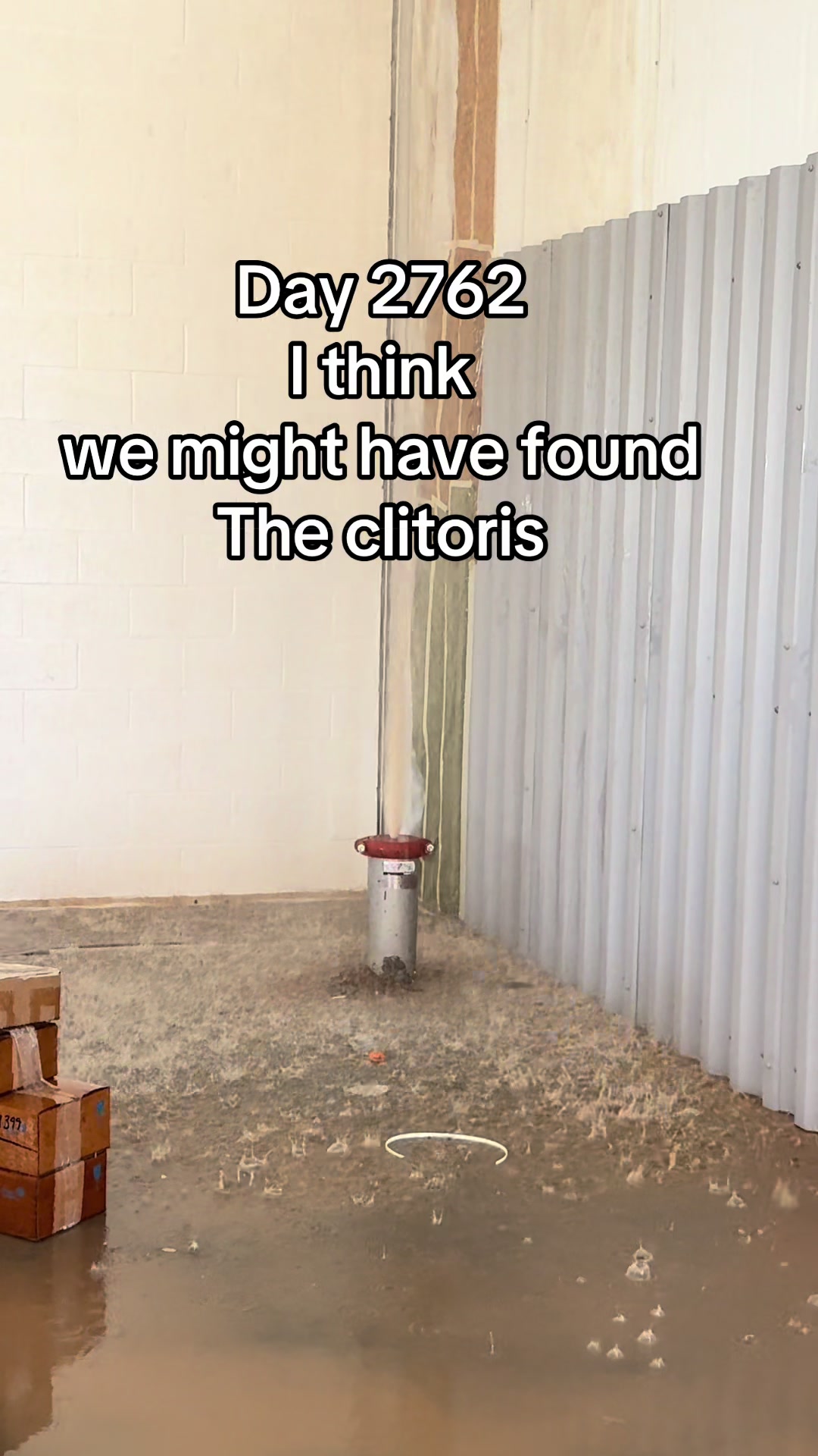 @𝕸𝖆𝖓𝖎𝖈