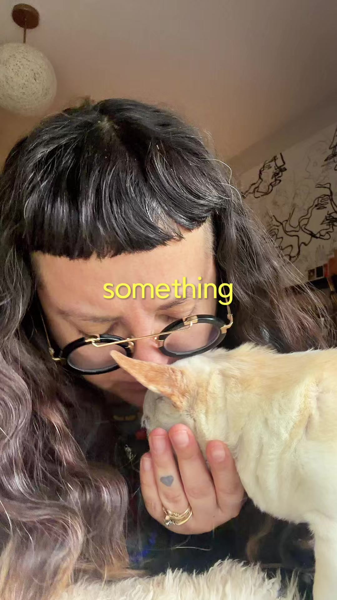 @thepitayacollective