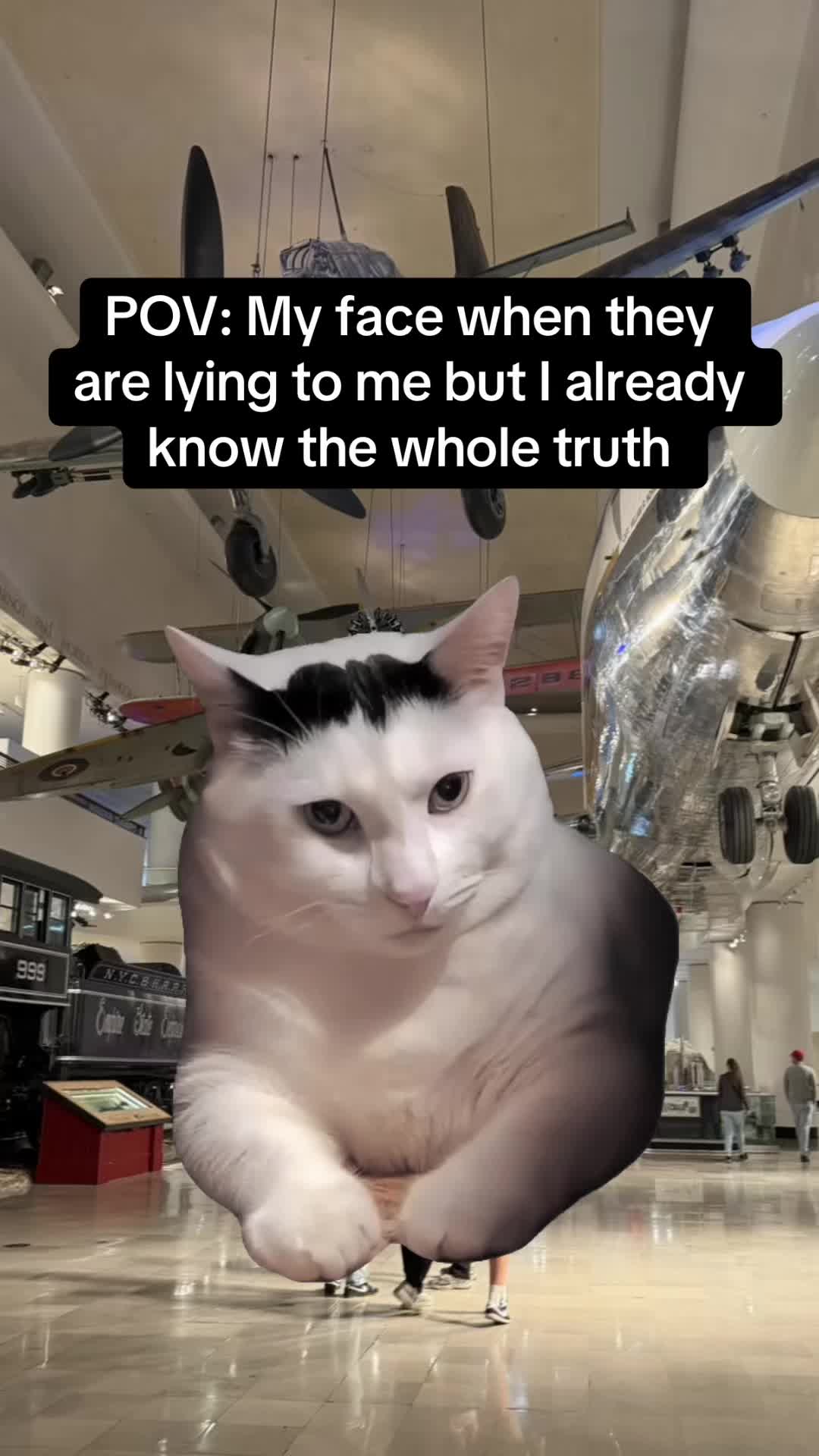 @sarahschark