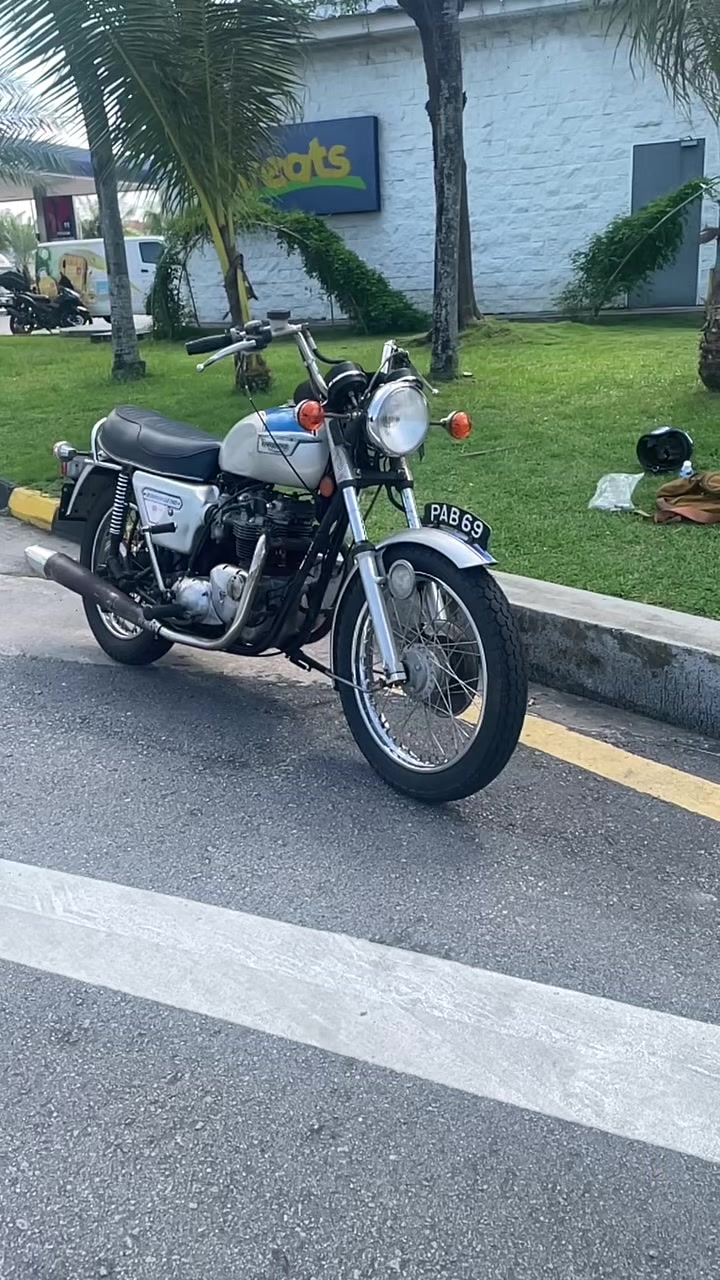@zam rottenmoto