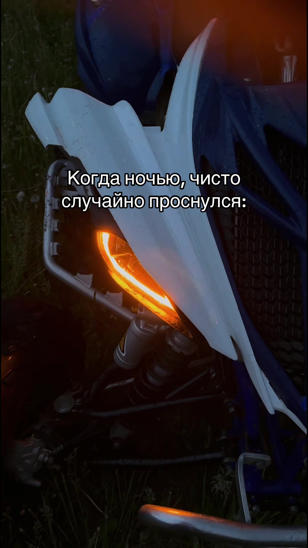 @656_TEAM