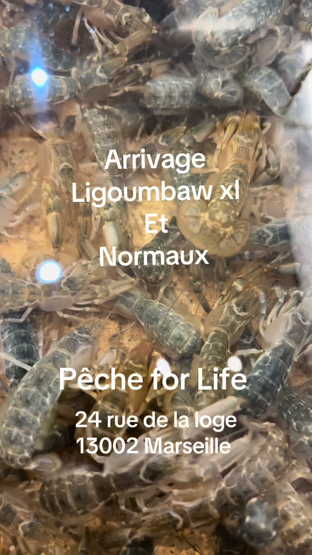 @P&ecirc;che for Life