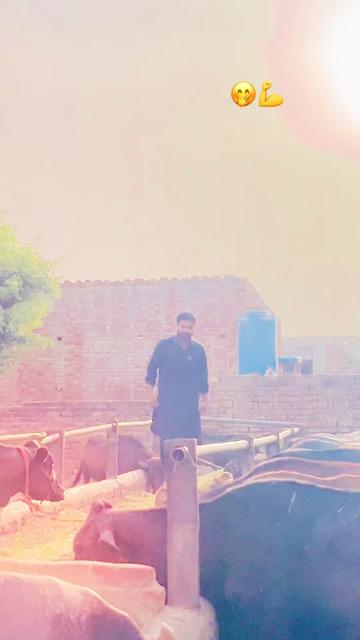 @چوہدری شعیب احمد 🦅