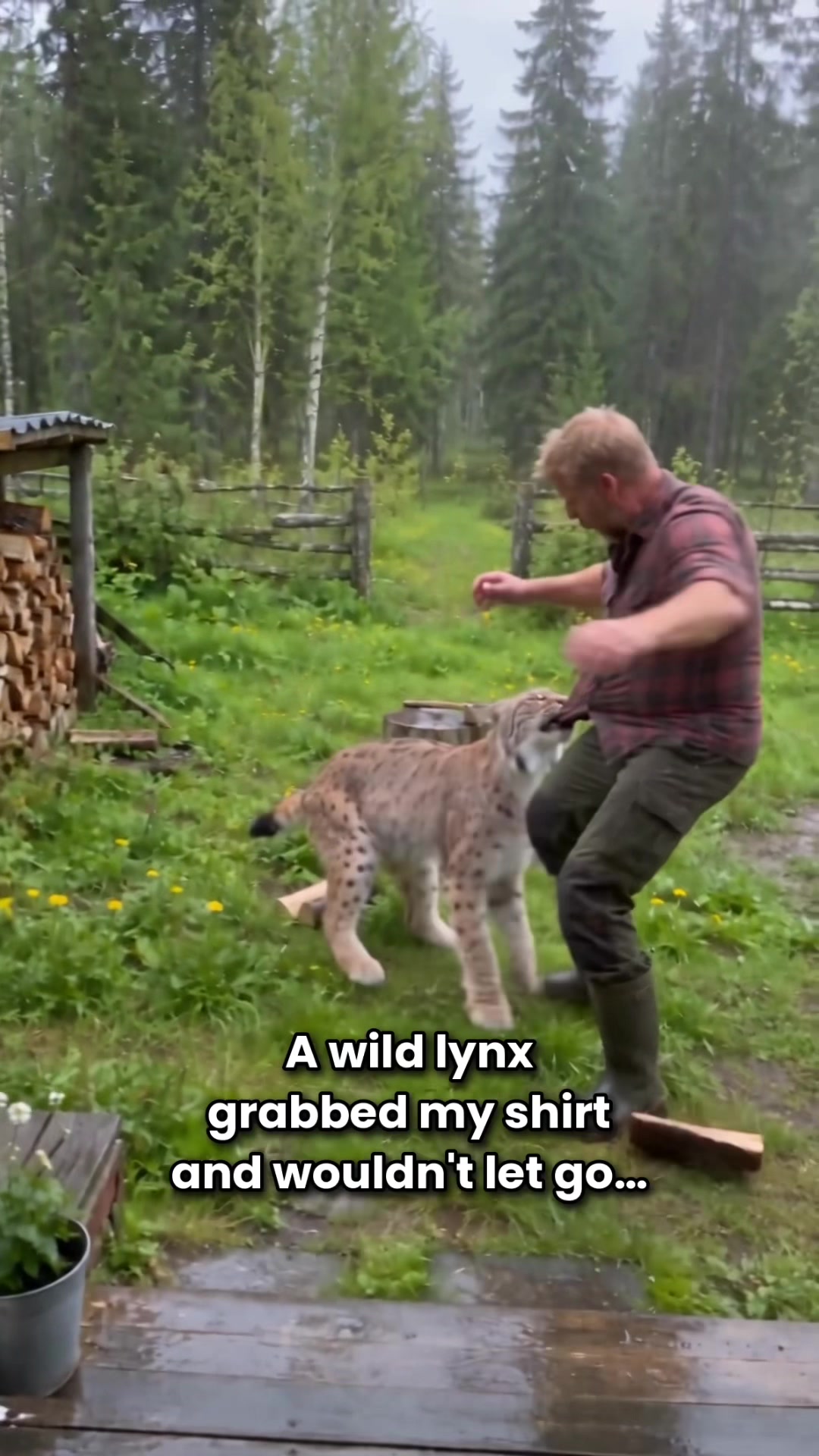@Wild Little Stories