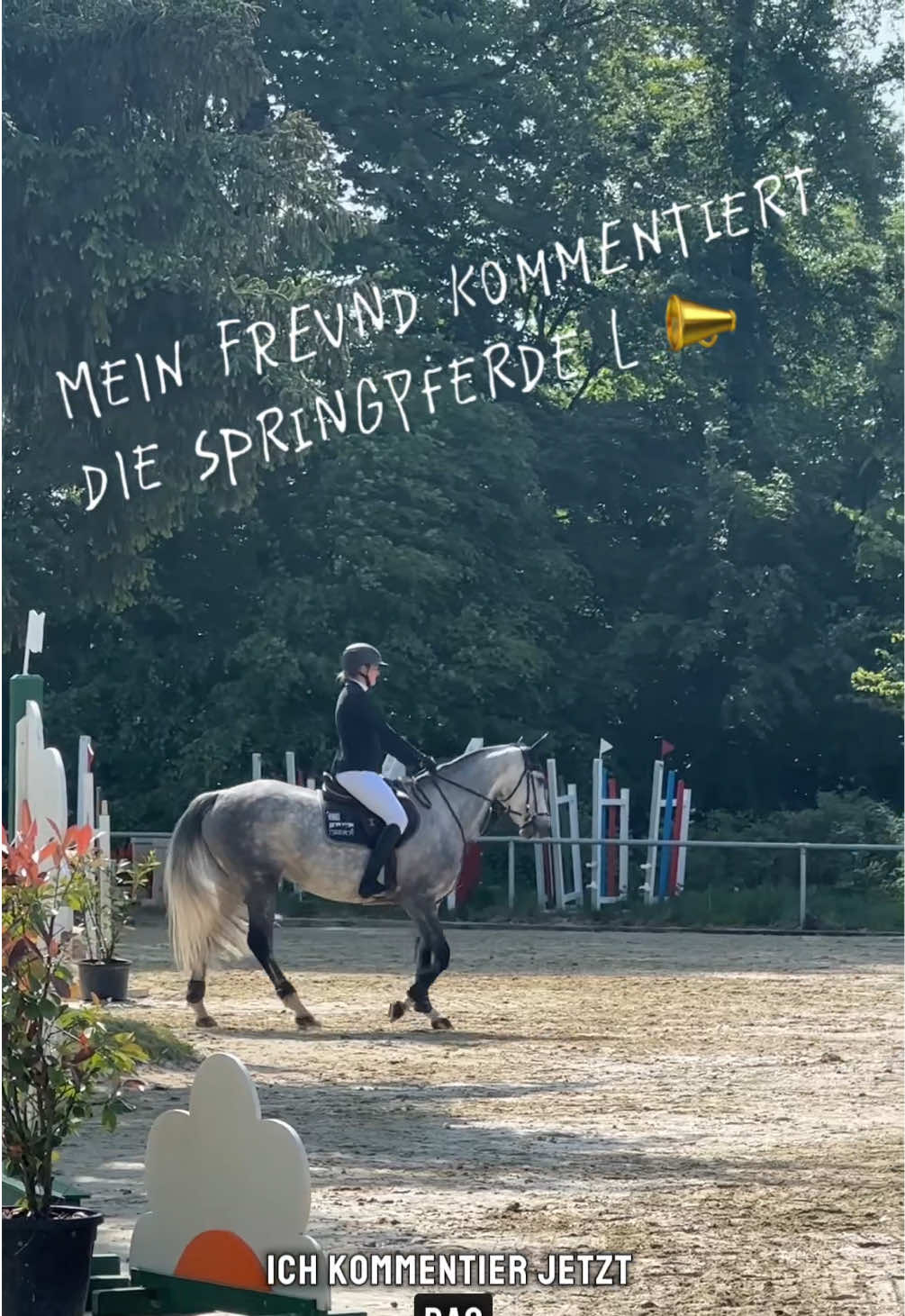 @luisamerkentrup