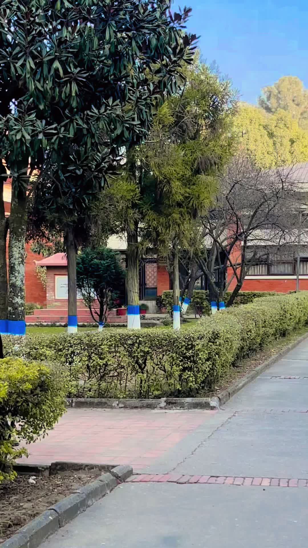 @lalitakandel