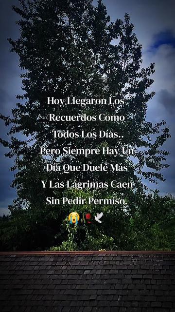 @🧿🌻𝒢𝒶𝒷𝒷𝓎 🌻🧿