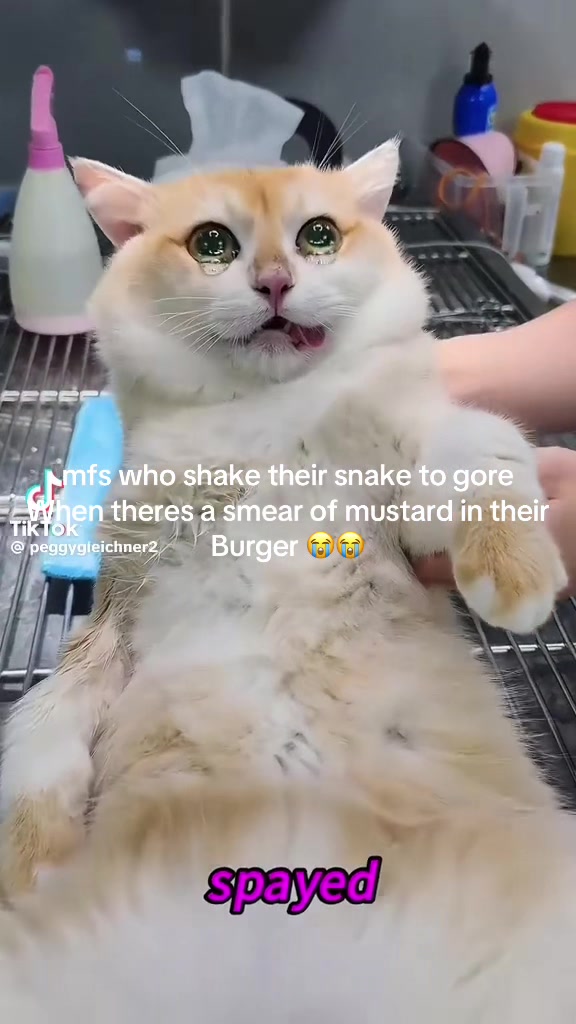 @TotallyNotAFanPage