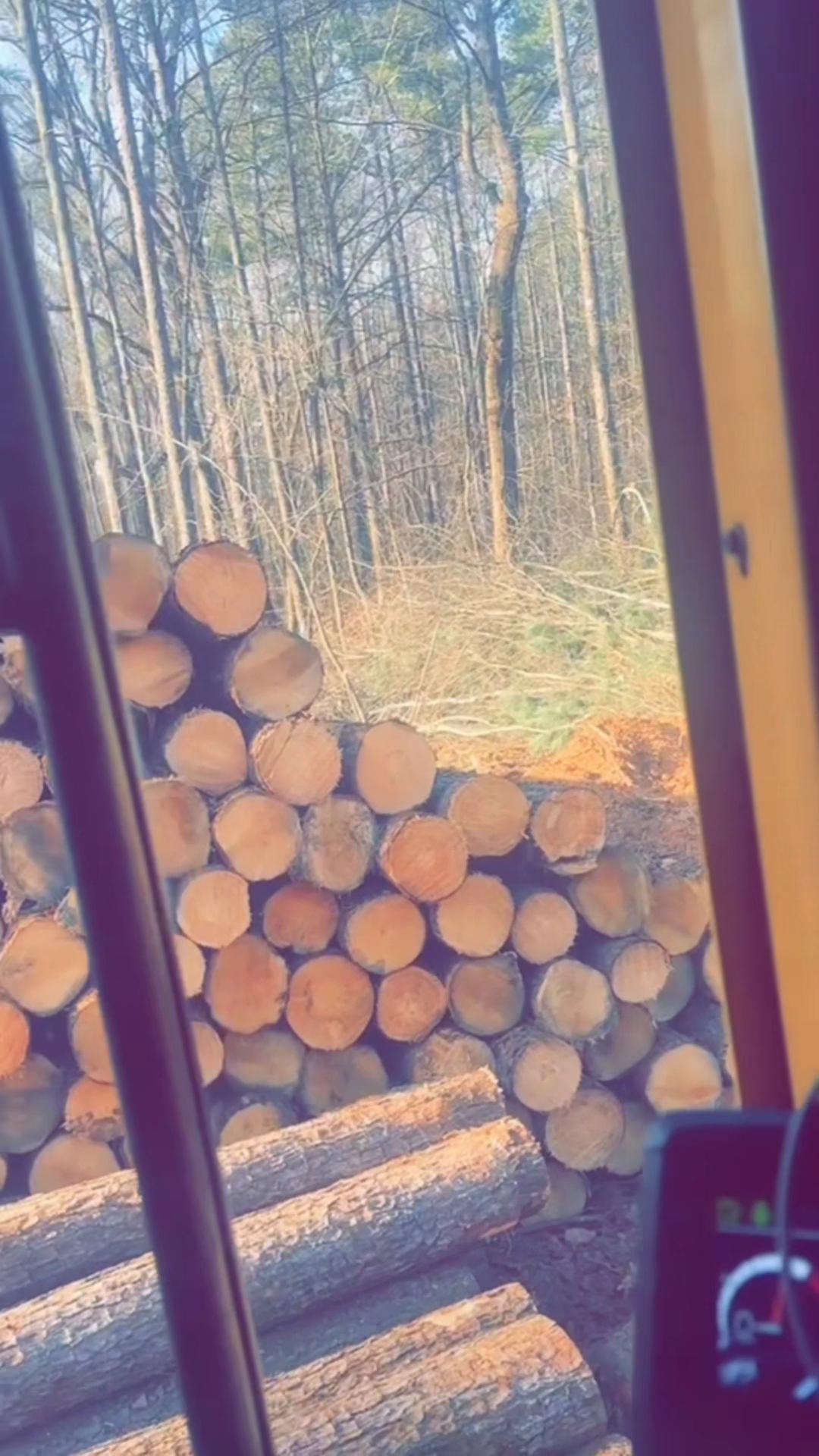 @willthomas_947