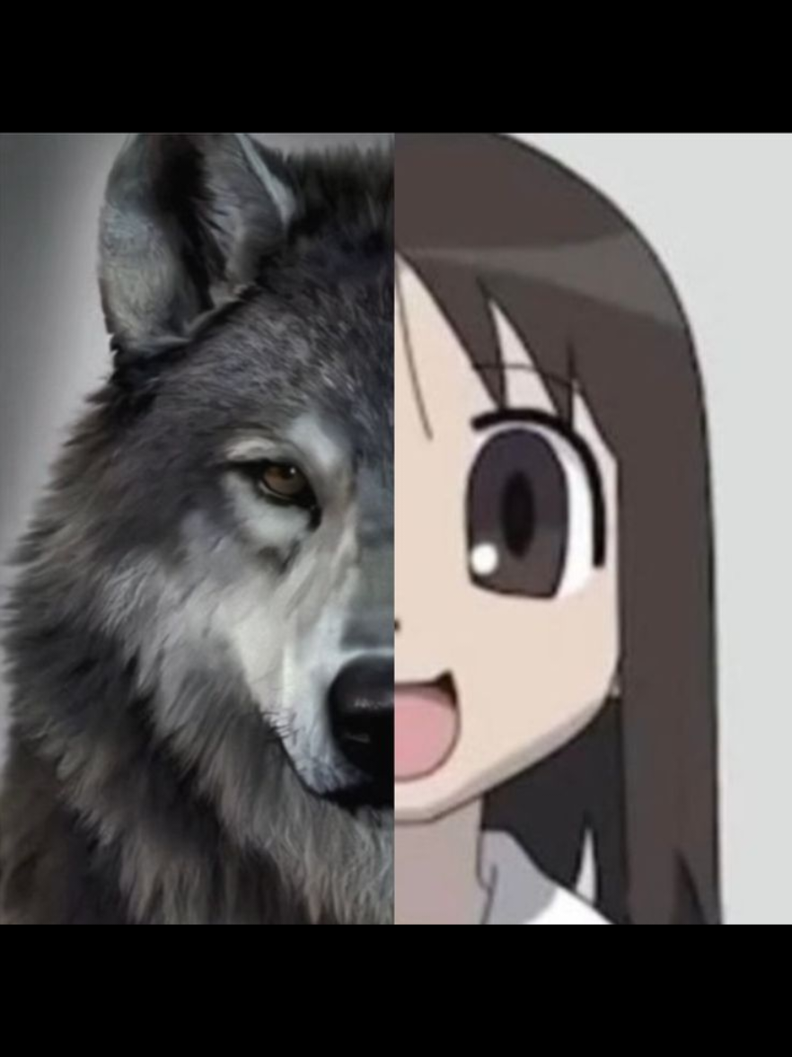 @uwenn