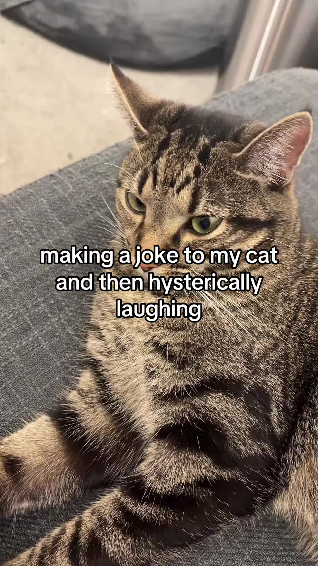 @Bot inanimate insanity