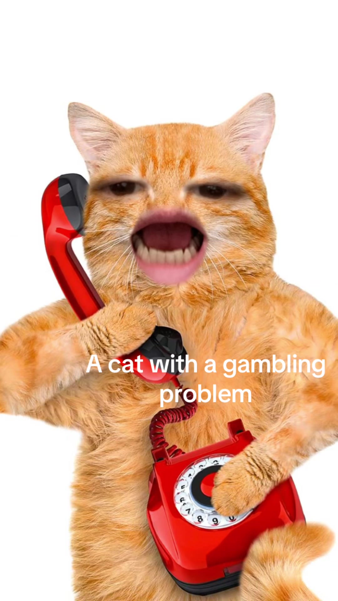 @Al Berman