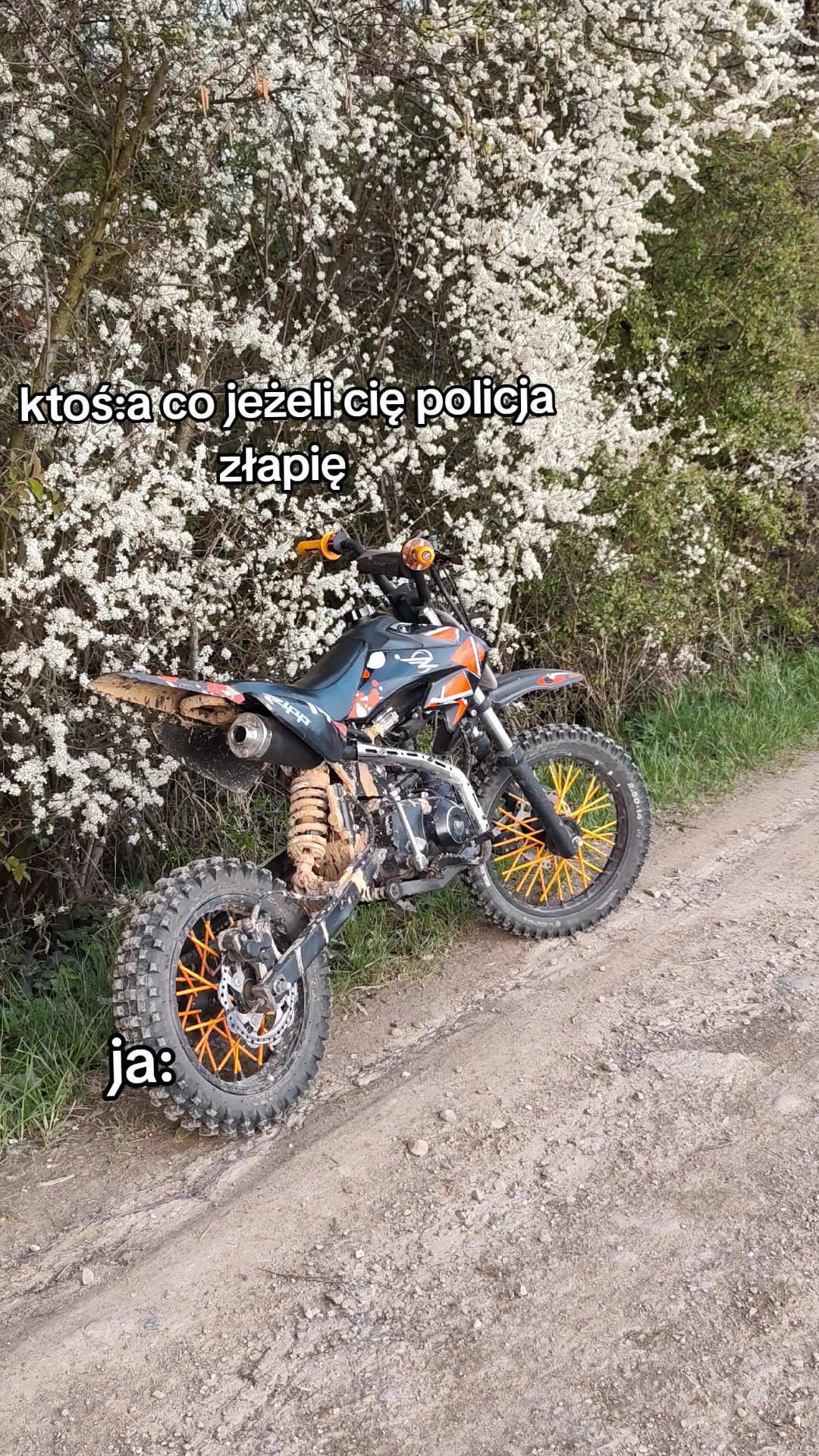 @👍🏻