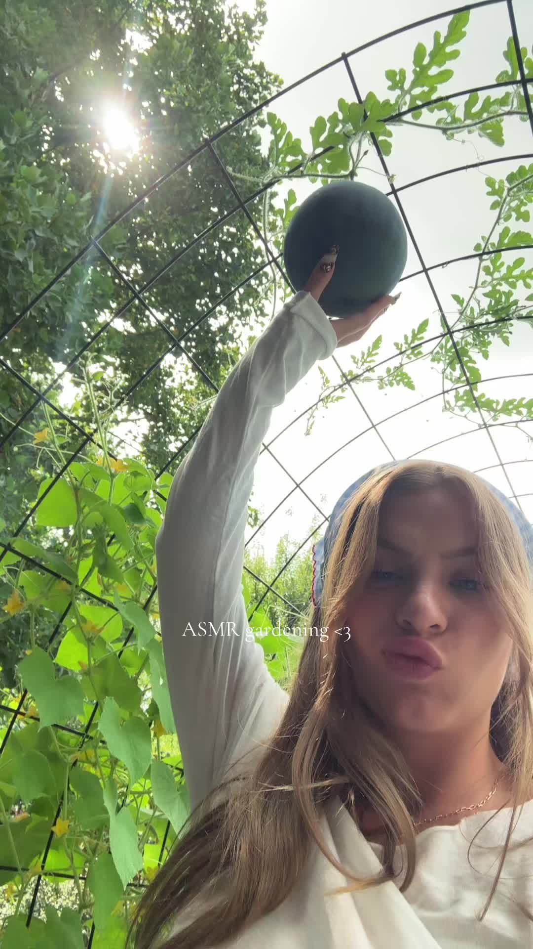 @Amber 🐿️