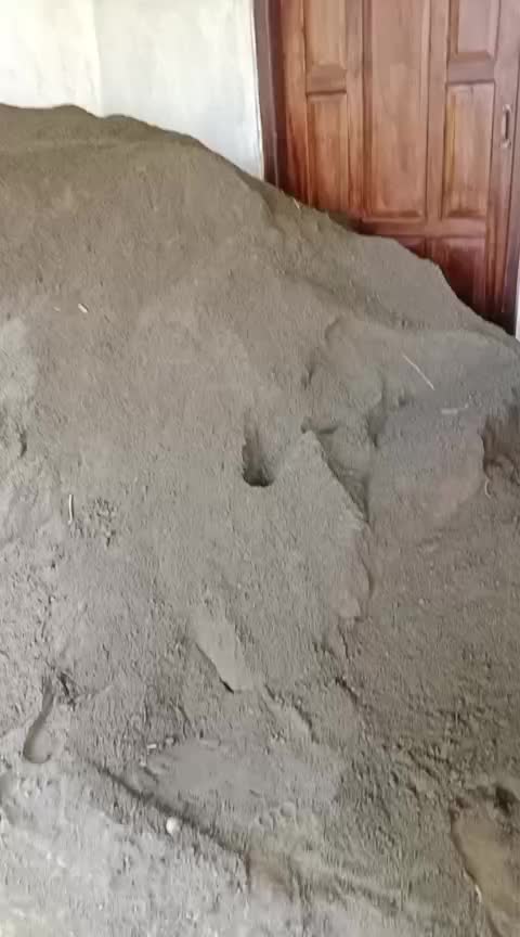 @alina