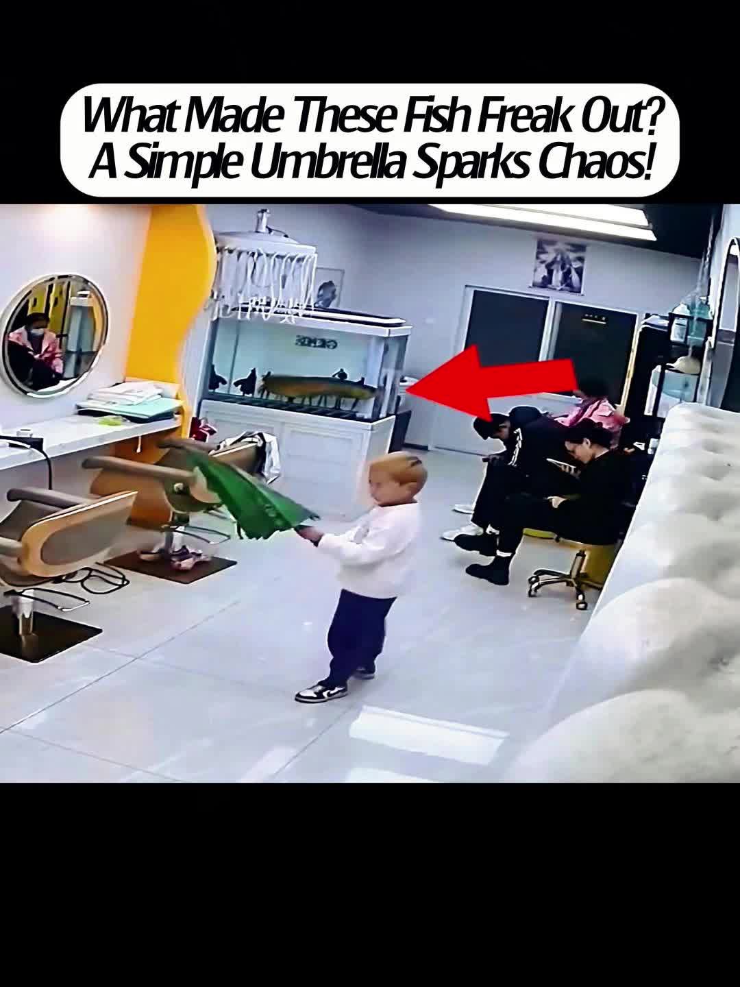 @Jovi video
