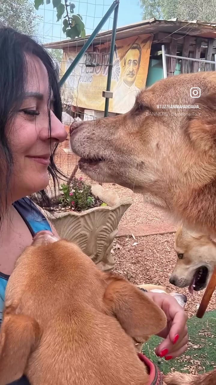 @animarandagia76