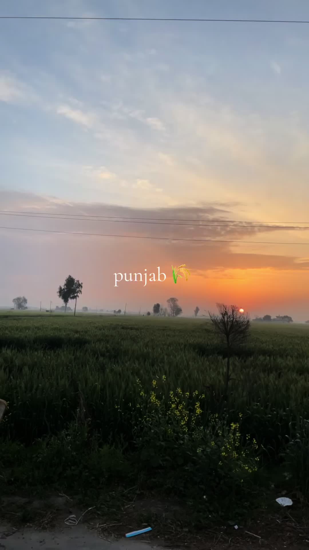 @Kiran