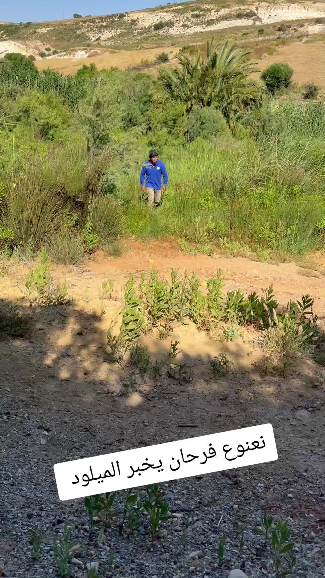 @الحاج نعنوع