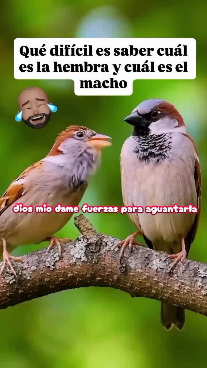@│▌║▌║🔱😎 ηⓄM𝕒∂Ⓐ😎🔱|||🫵