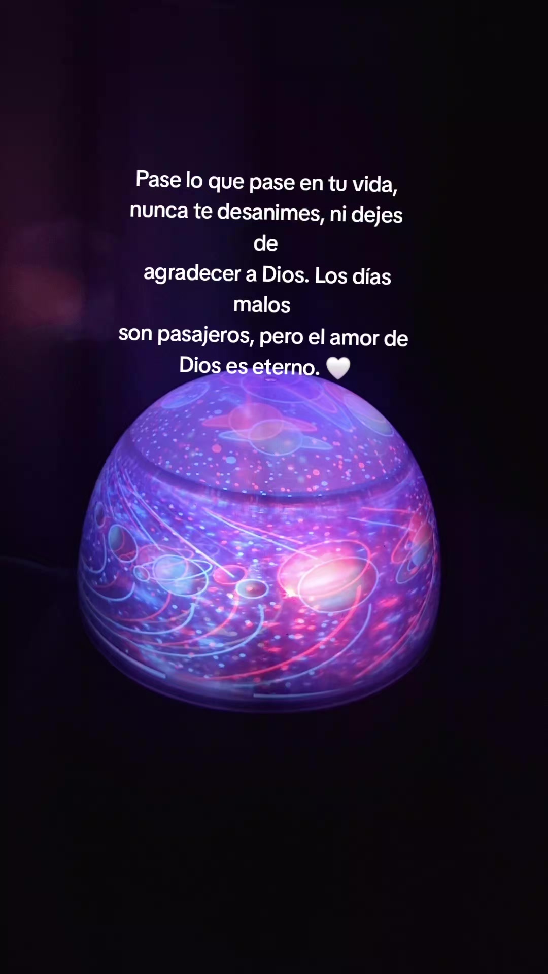 @🦋14♡🦋🍃