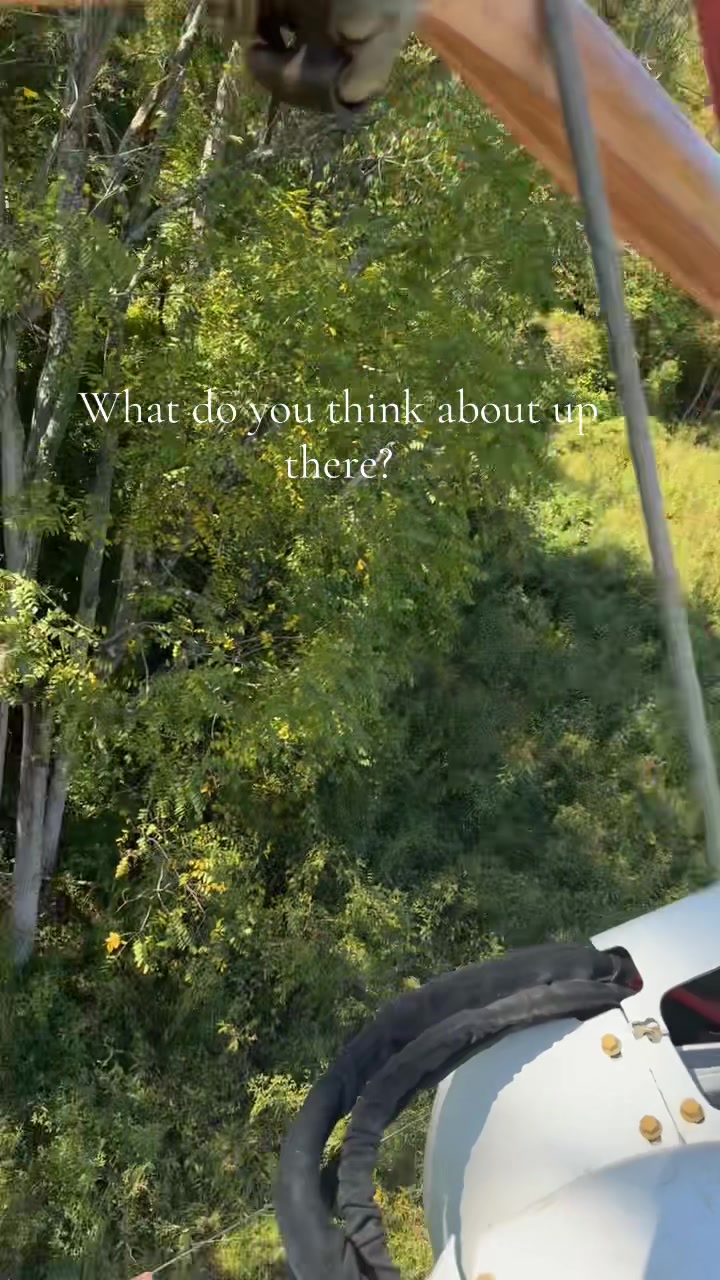 @evanbragg71