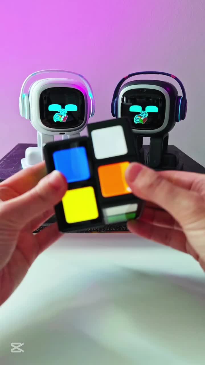 @Living with Robots