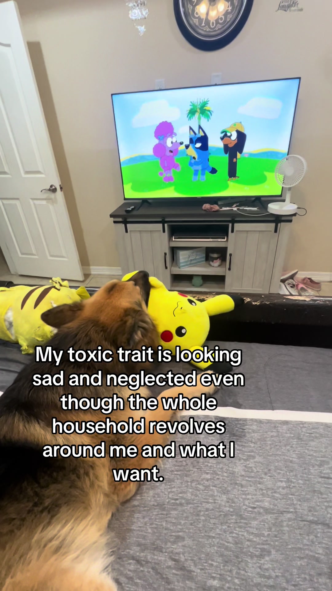 @Gunner GSD🐶