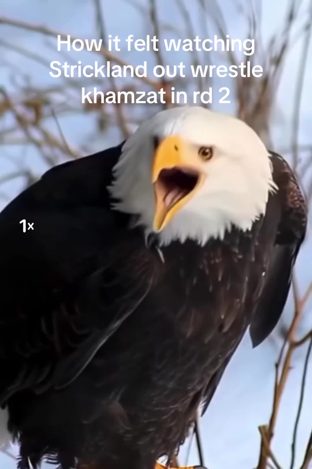 @HumanErrorProject