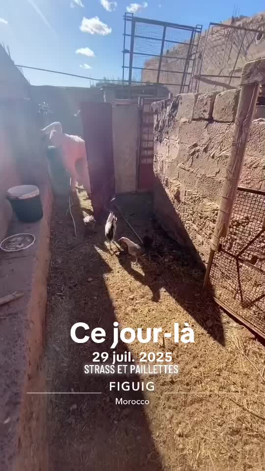 @souriskicks