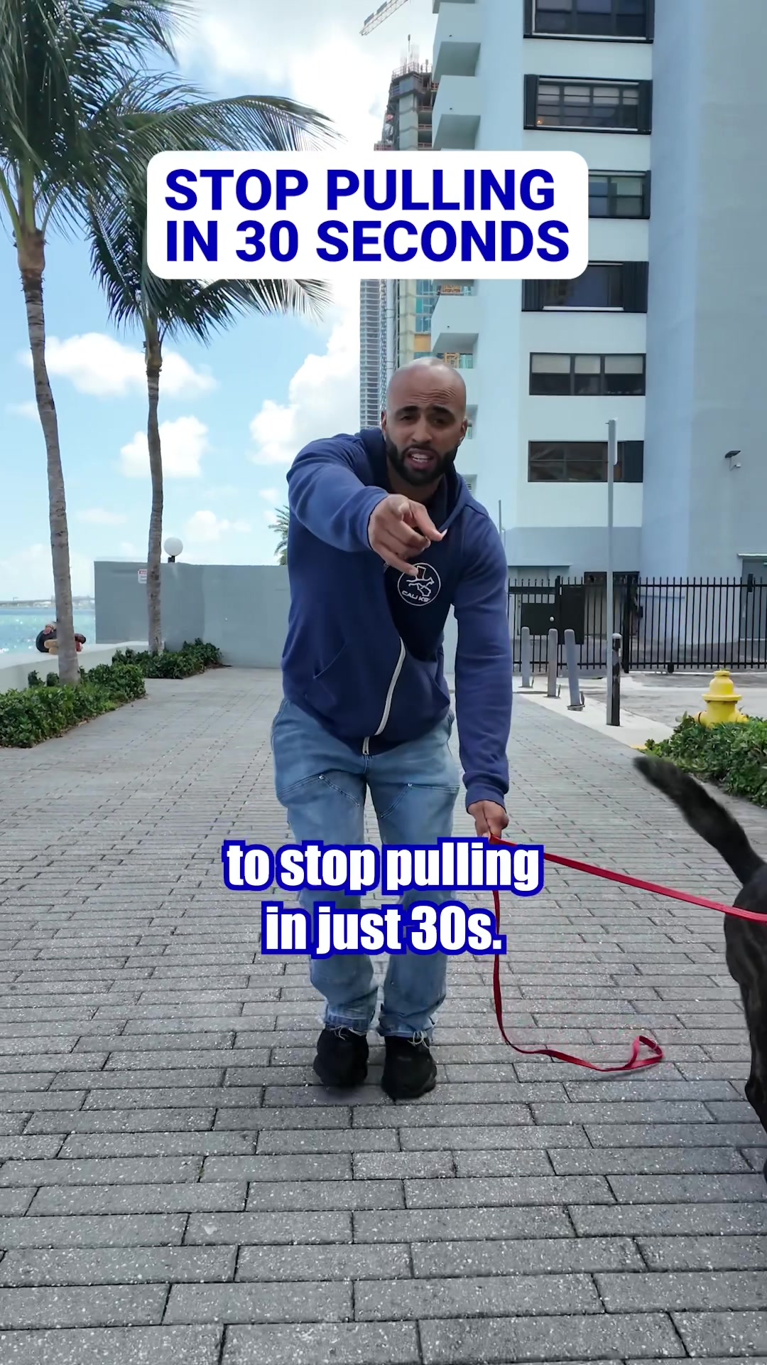 @Cali K9