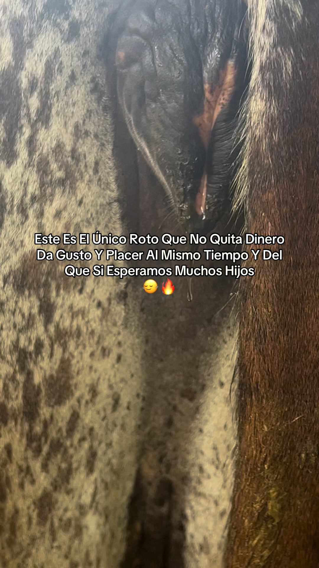@el_enanolepra