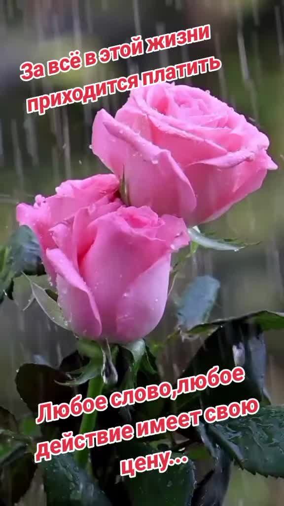 @Нина&Глядна&Я