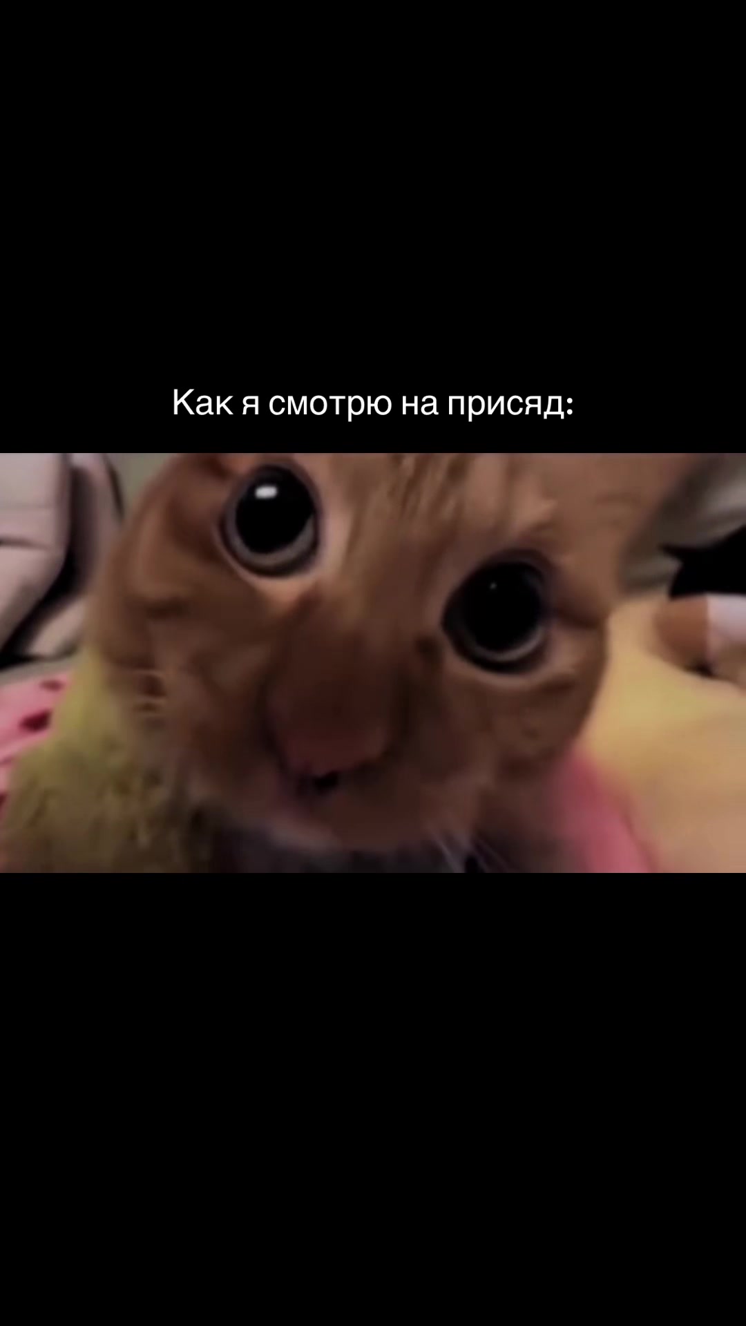 @𝓨𝓪𝓻𝓸𝓼𝓵𝓪𝓿𝓪