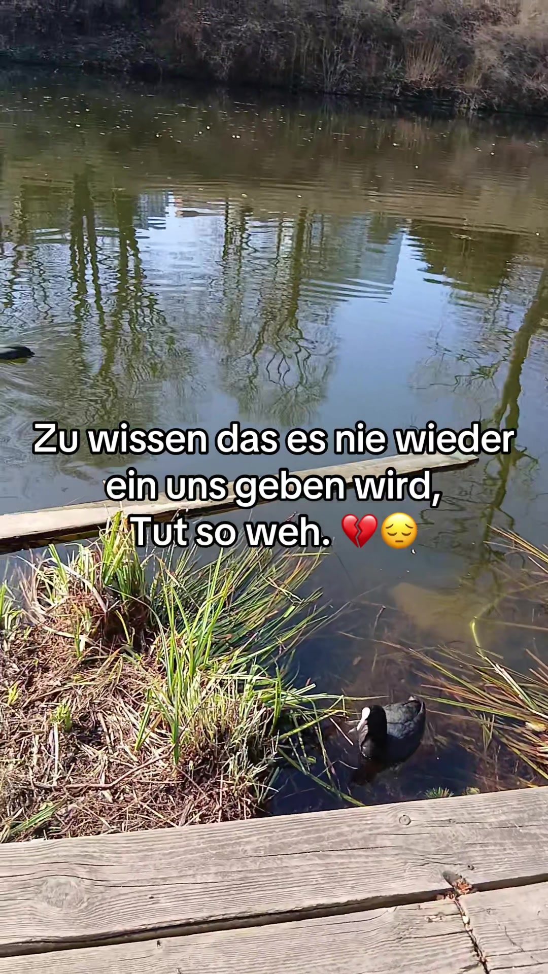 @C&auml;cilia_5