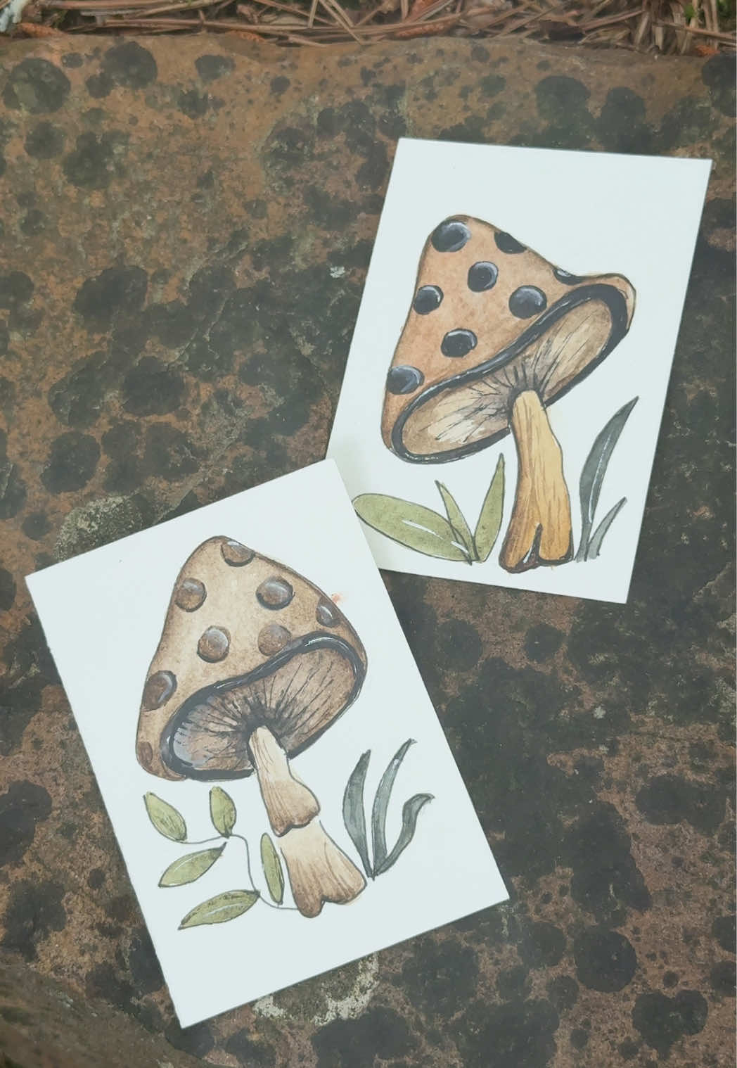 @Lark Watercolor & Art