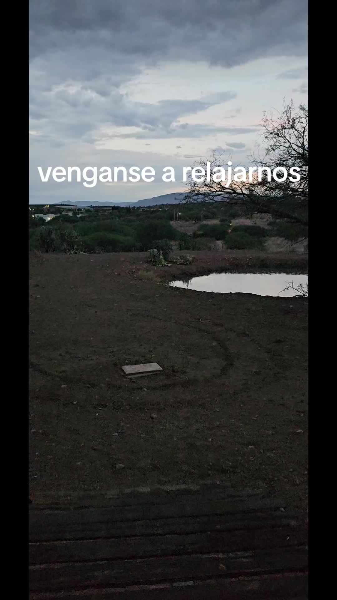 @memohuerta
