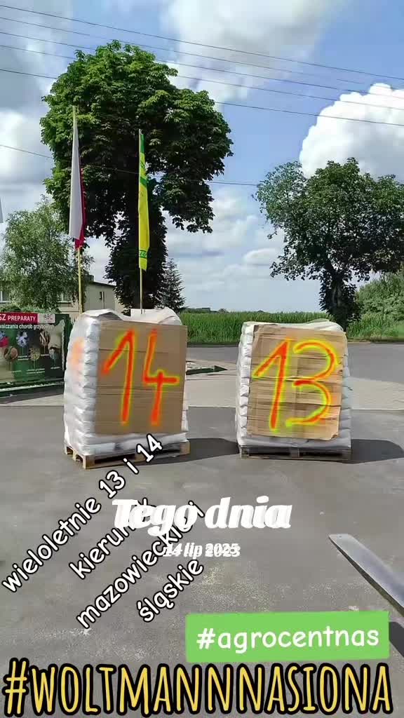 @WOLTMANNNASIONA