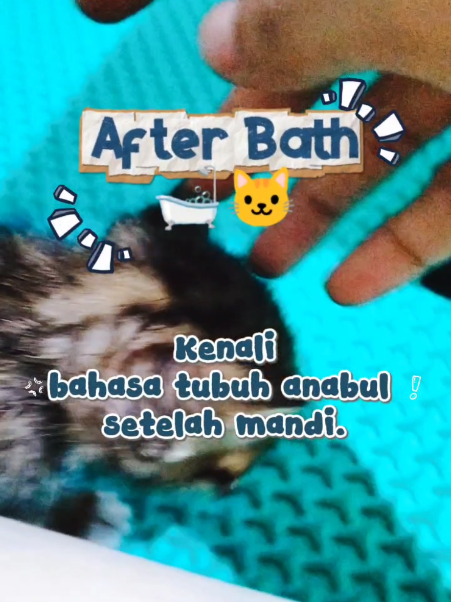 @Bollu