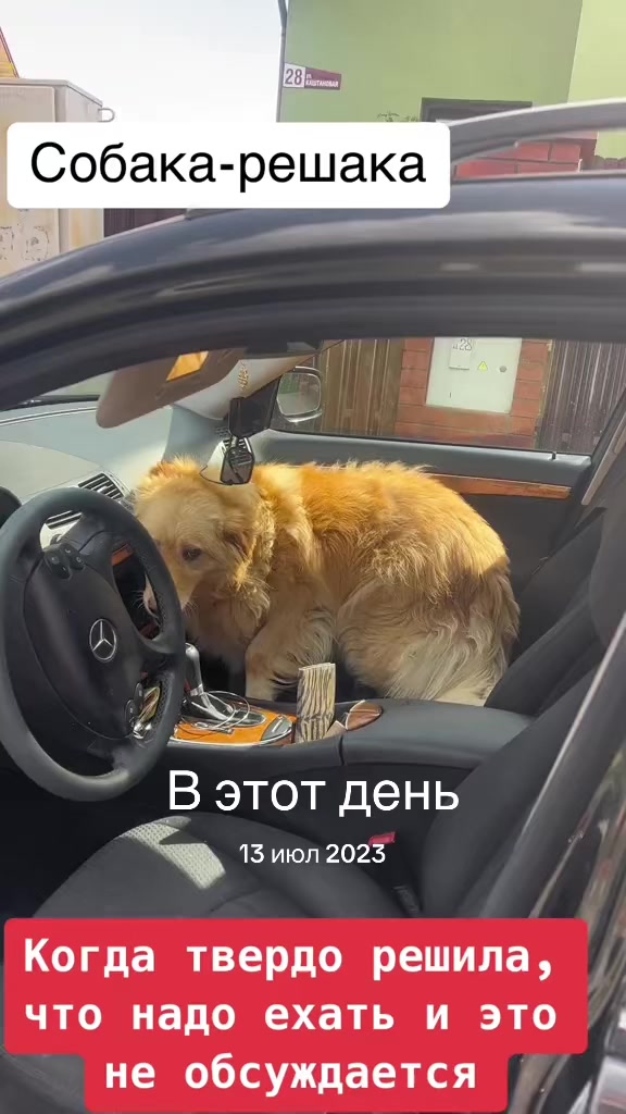 @⚜️Цыганчелла ⚜️
