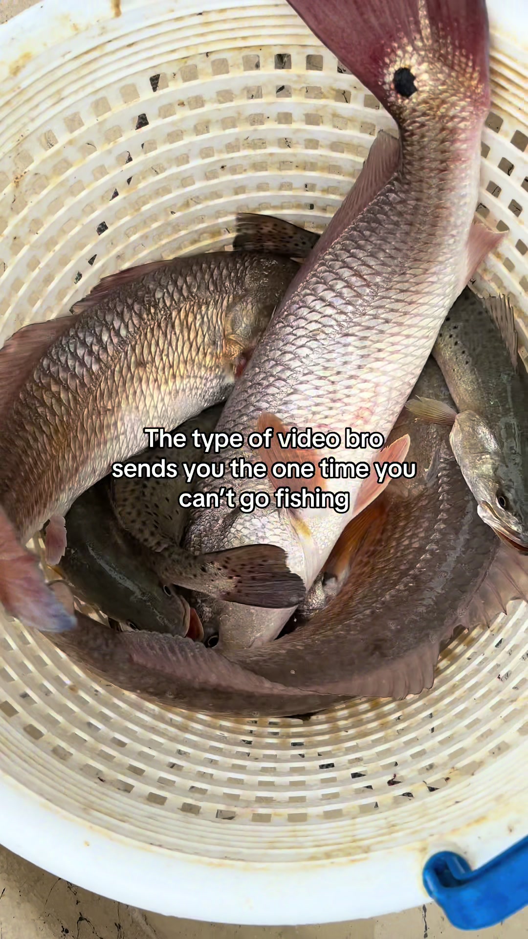 @trk.fishing
