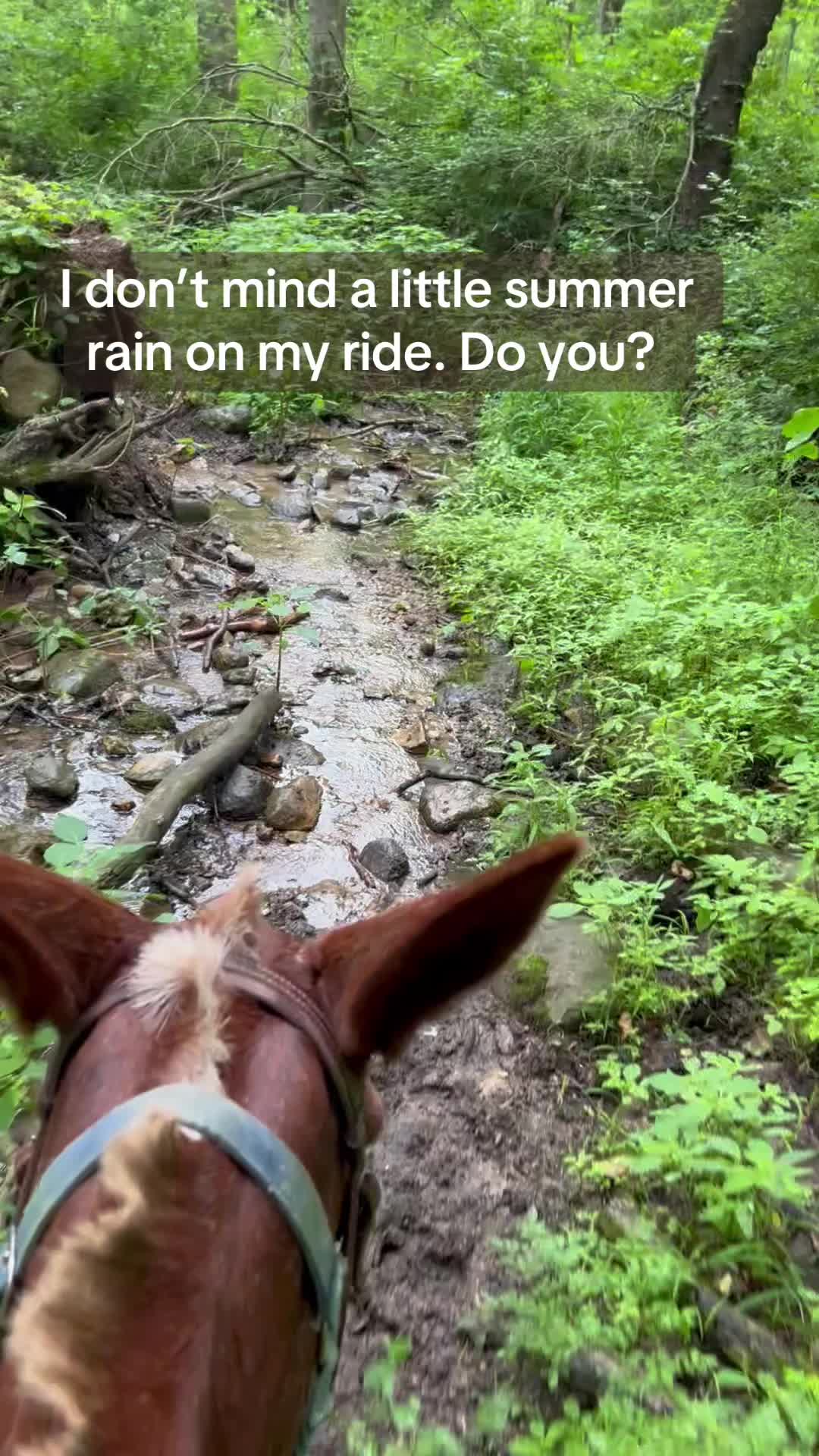 @Millbrook Trail Rides