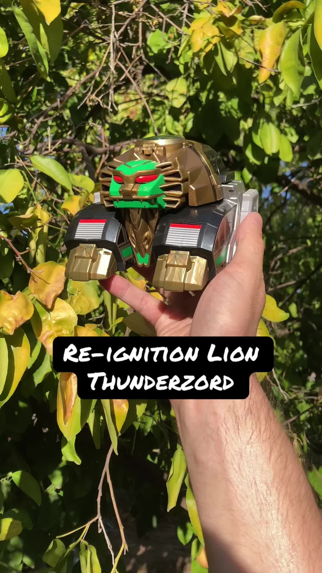 @Tokuasmr