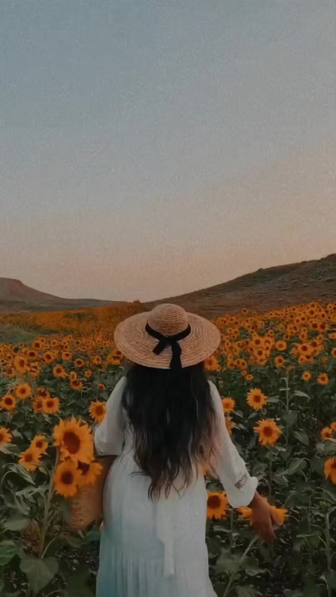 @Amazing_๐